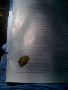 Gnawed unripe pecan, sitting the middle of my book, right where it landed