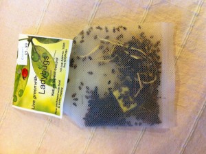 Yes, you can actually purchase a package of real, live ladybugs!