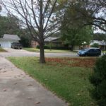 And overnight the wind blew all the leaves over onto HER yard! (you can see by the edge of the sidewalk). It looks like I got up in the middle of the night and raked all the leaves over to her yard.