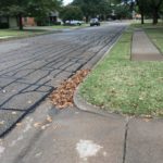 But I did notice how there are still lots of my leaves in the gutter on the right side of our driveway,